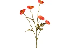 Valmue stilkblomst