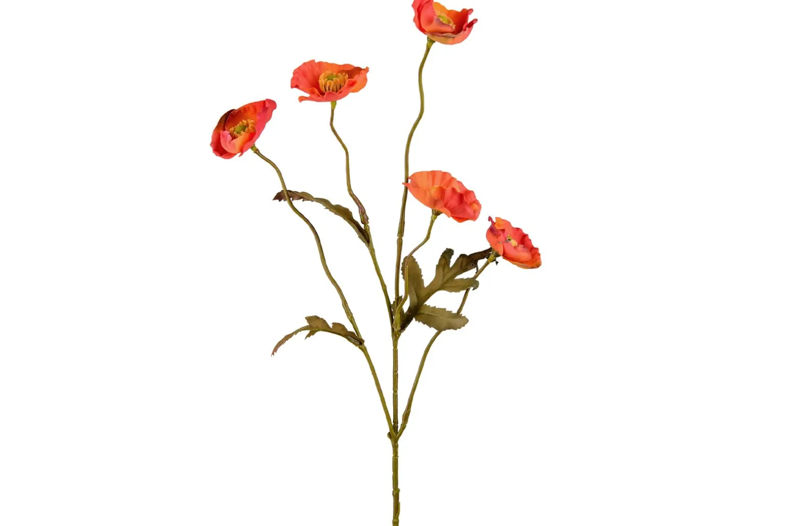 Valmue stilkblomst