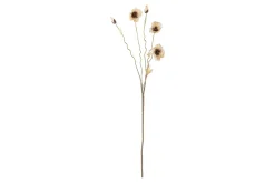 Valmue stilkblomst