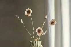 Valmue stilkblomst