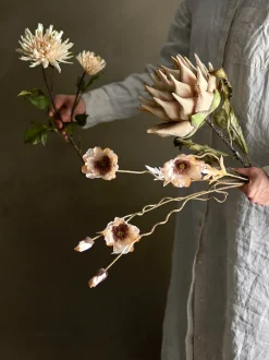 Valmue stilkblomst