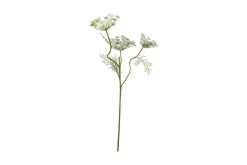 Villgullrot stilkblomst