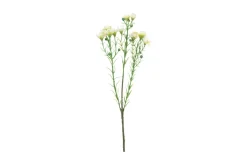 Voksurt stilkblomst