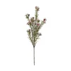 Voksurt stilkblomst