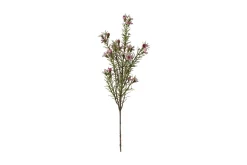 Voksurt stilkblomst
